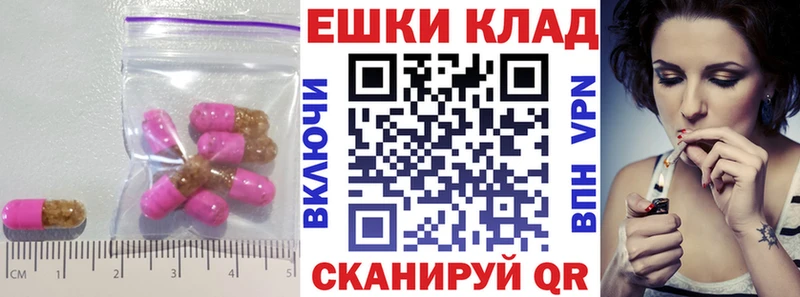 мега маркетплейс  Сураж  Ecstasy XTC  где можно купить наркотик 