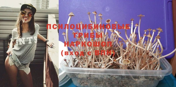 героин Алзамай